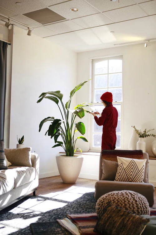 Bring the Outdoors Inside
